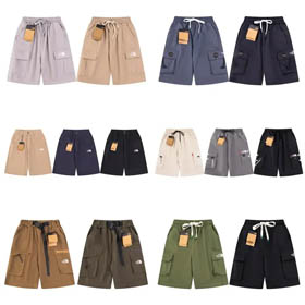 Le North Face Shorts  