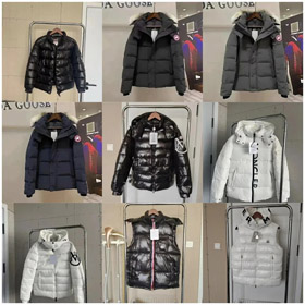 Moncler série Madeira Short Down Jacket Zipper Fit à capuchon à manches longues Down Jacket-4287  